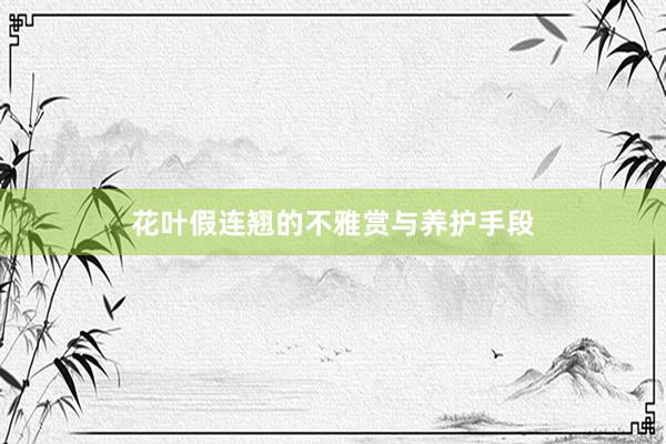 花叶假连翘的不雅赏与养护手段