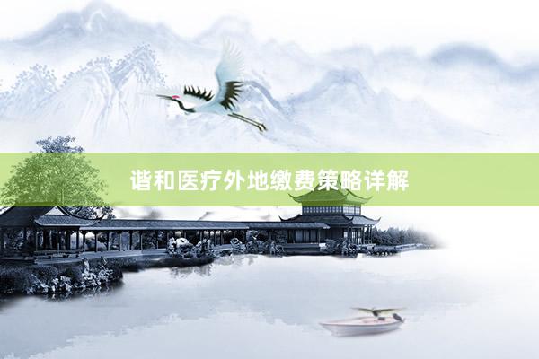 谐和医疗外地缴费策略详解