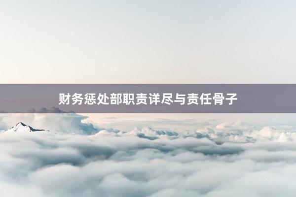 财务惩处部职责详尽与责任骨子